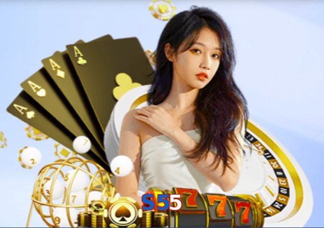 S55 interface sample